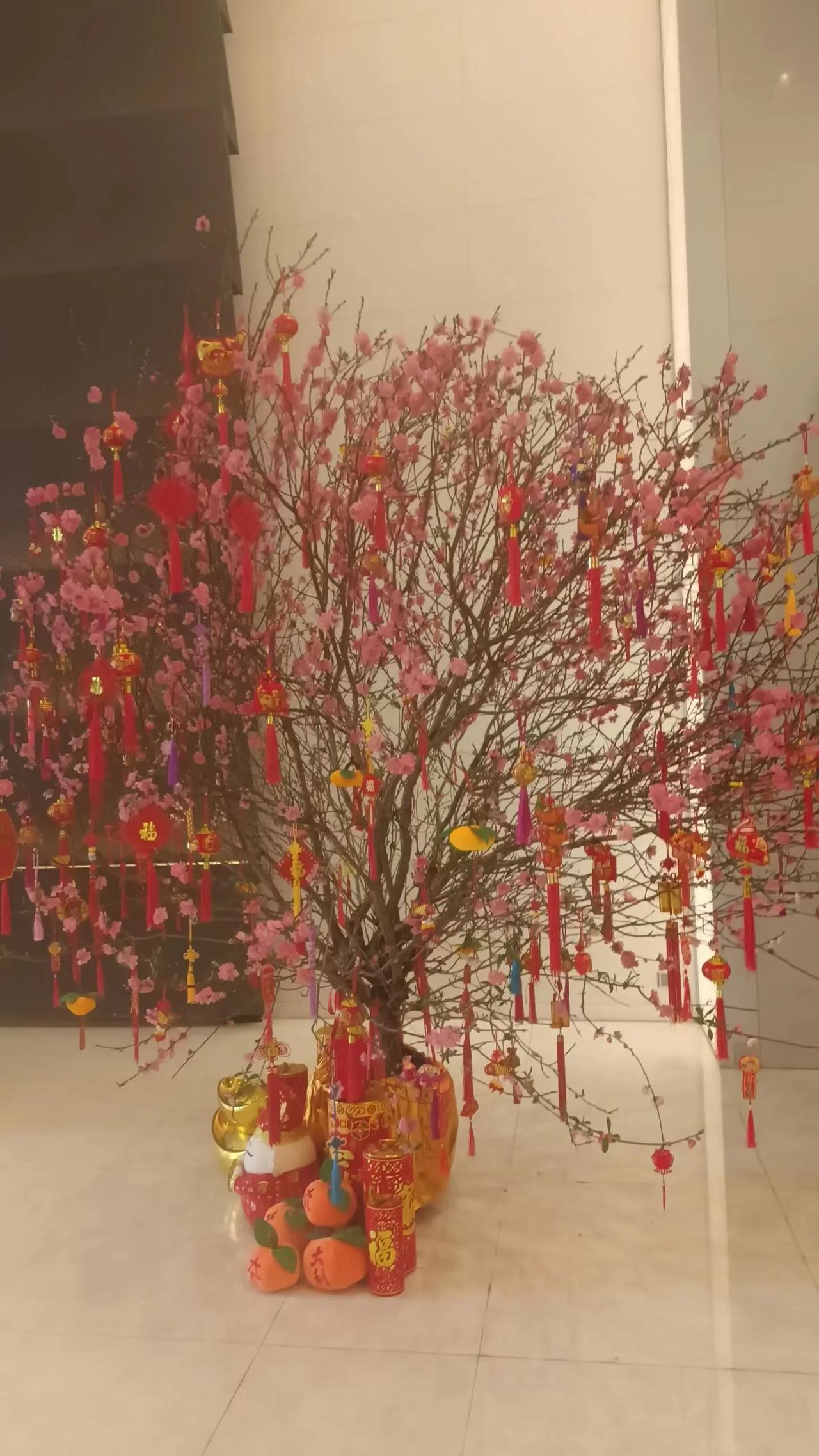 年终无休迎除夕
​桃花盛开好兆头
除夕喜盈
​