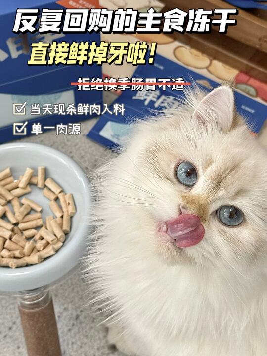 换季猫咪不软便窜稀的秘诀是...