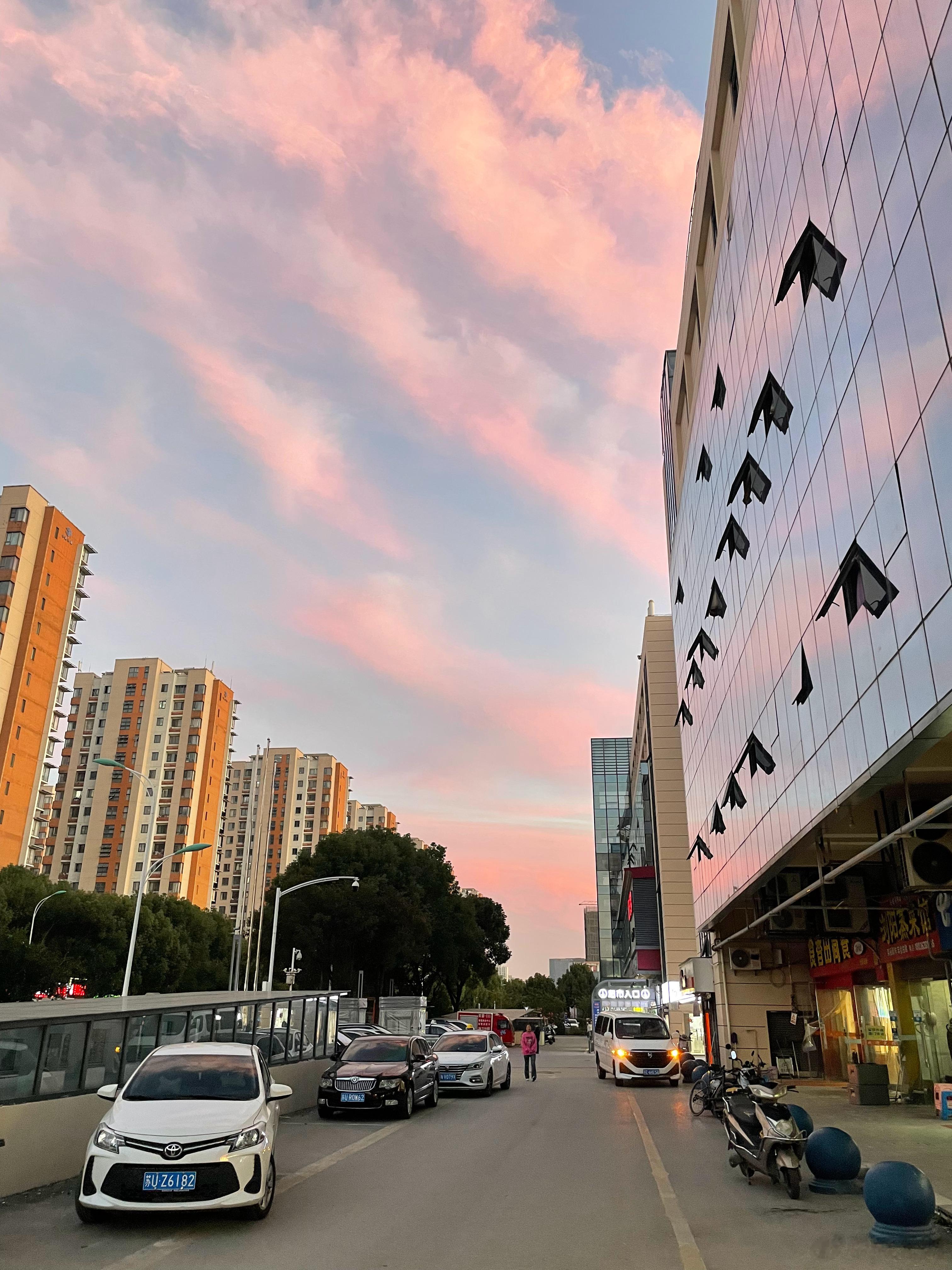 苏州有点美喔图4这是矮脚马？？  ​​​