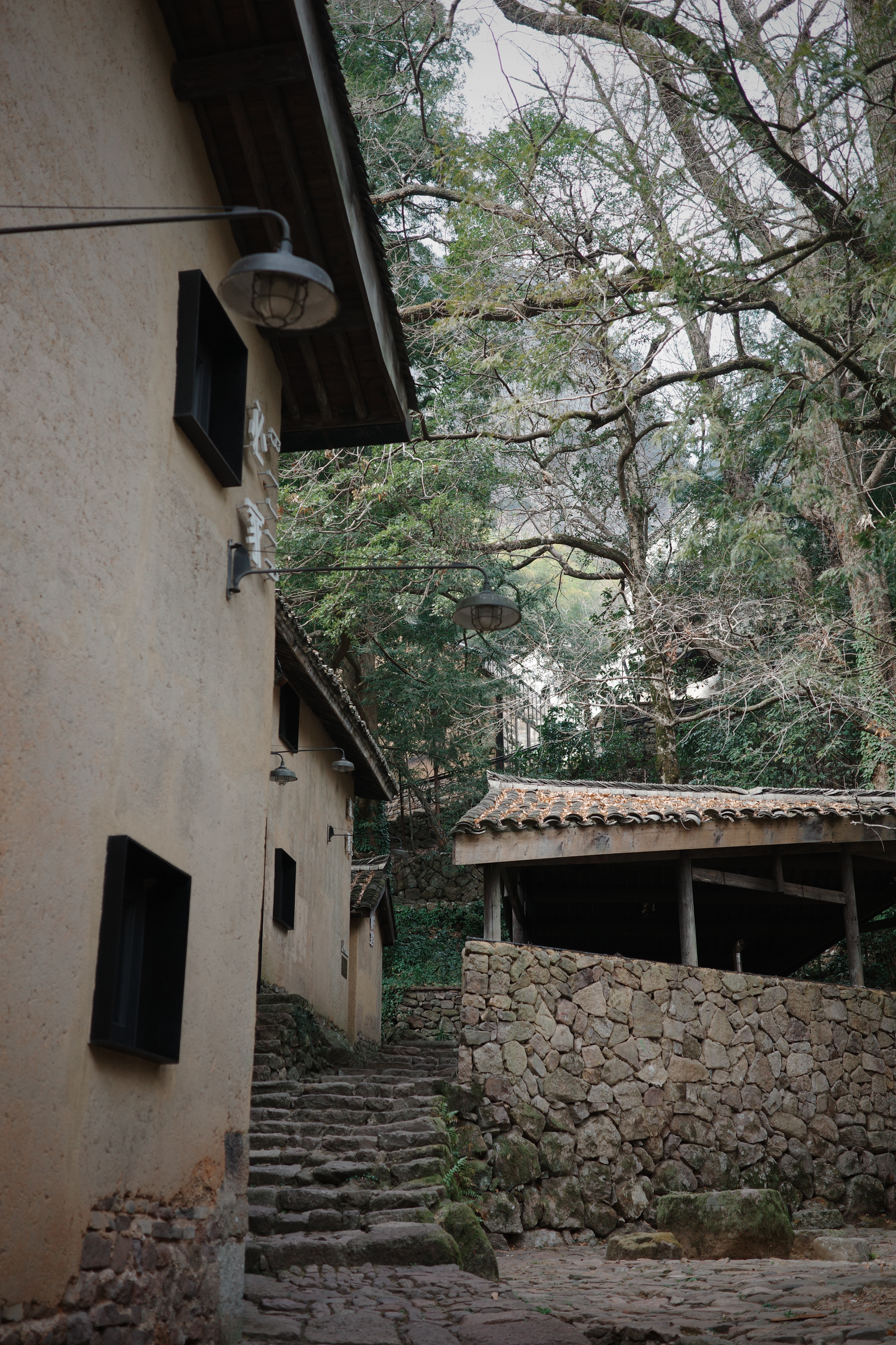 今日氧气含量超高⛰️ 金华·浦江不舍野马岭中国村