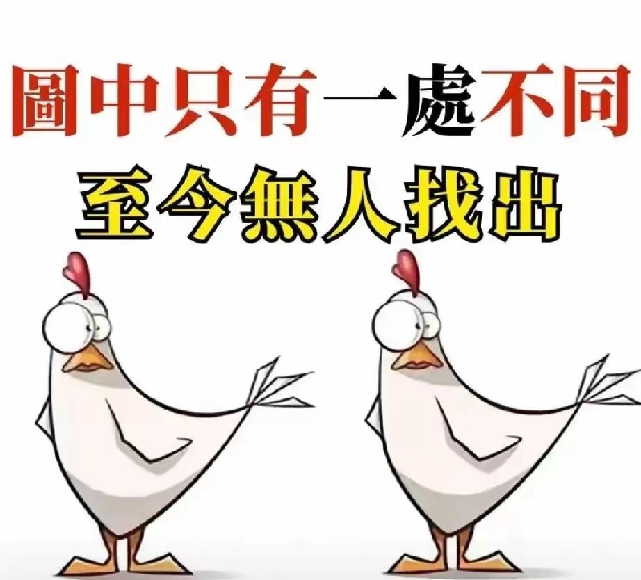 问了快800个人了，无一人找出不同处，我敢说，谁能找出来，绝对是千里挑一的高手。