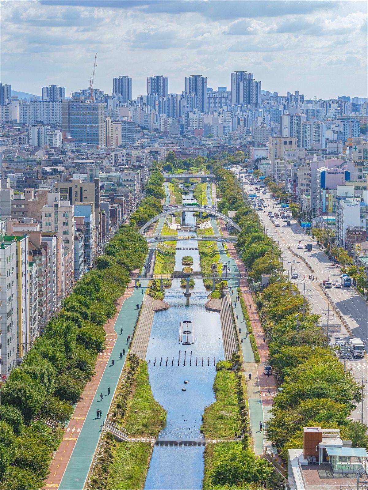 我们的城市绿化缺钱吗？缺的是韩国这种“神操作”！

这是韩国光州的光州川线性公园