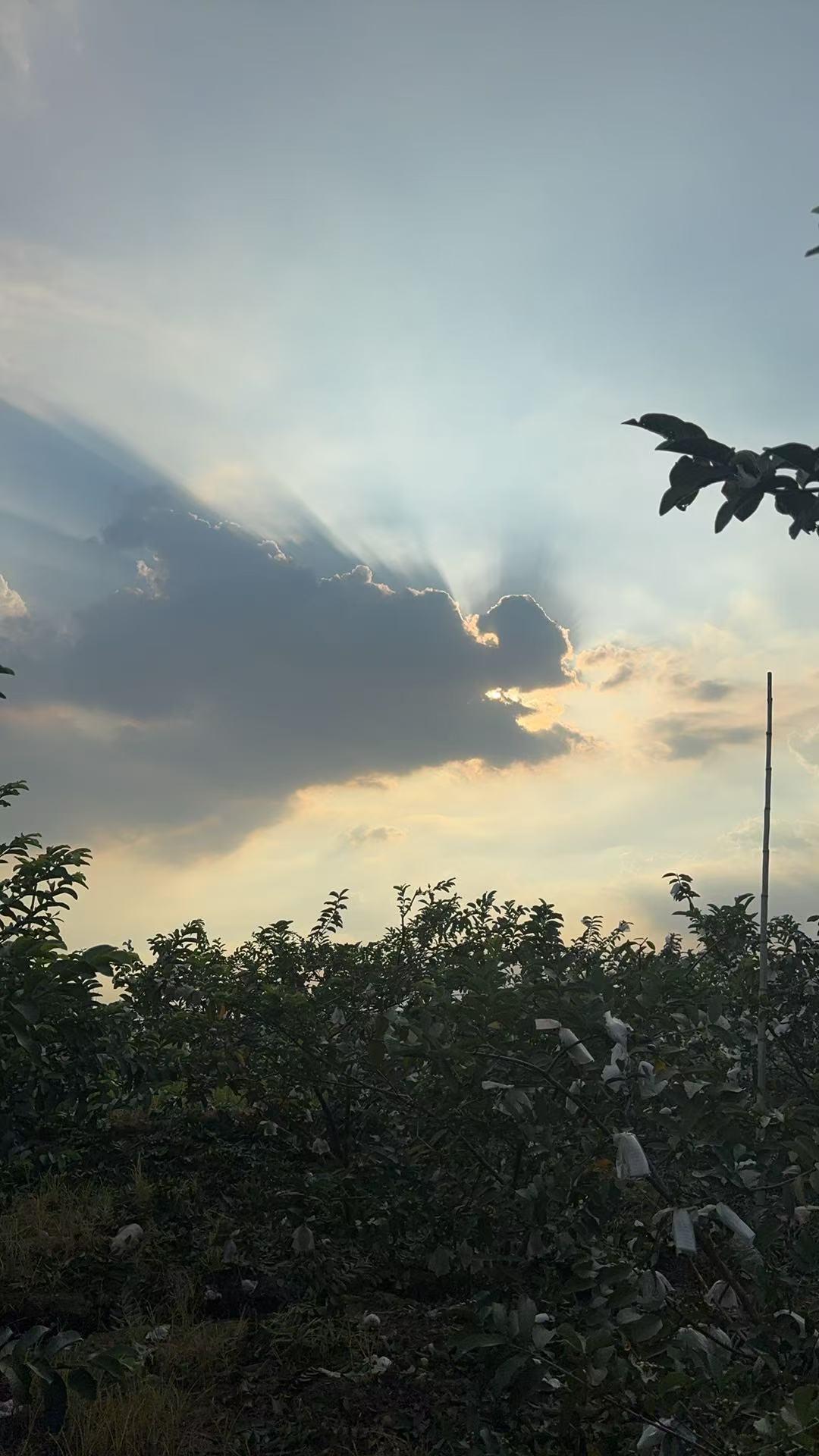 抖音怎么拉高客单价人群？抖音获客