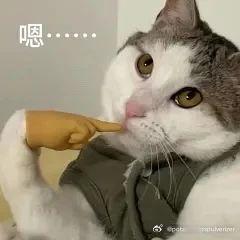 山河枕每集预告都在吸引我，有点喜欢强制爱 