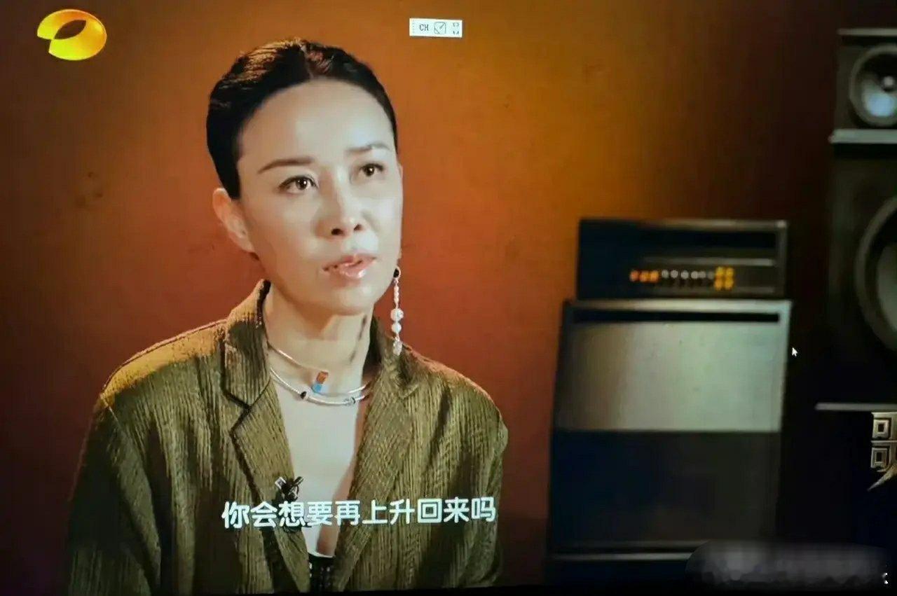 那英瘦到这剩下一个壳似的感觉，我真不知道原来看上去大大咧咧的她原来那么容易紧绷，