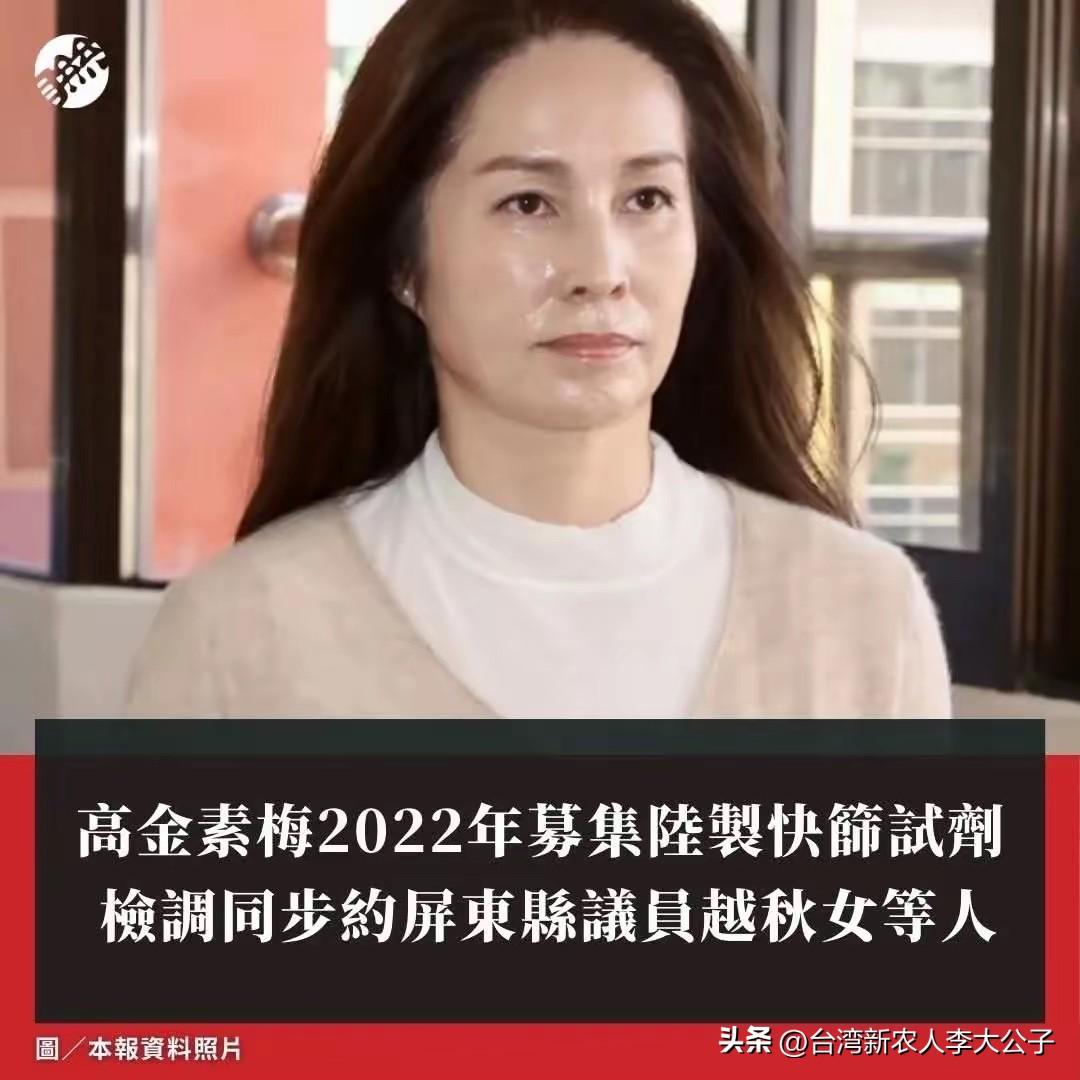 在我看来，当前舆论所讨论的理由，都尚未触及问题的核心。真正的关键在于高金素梅委员