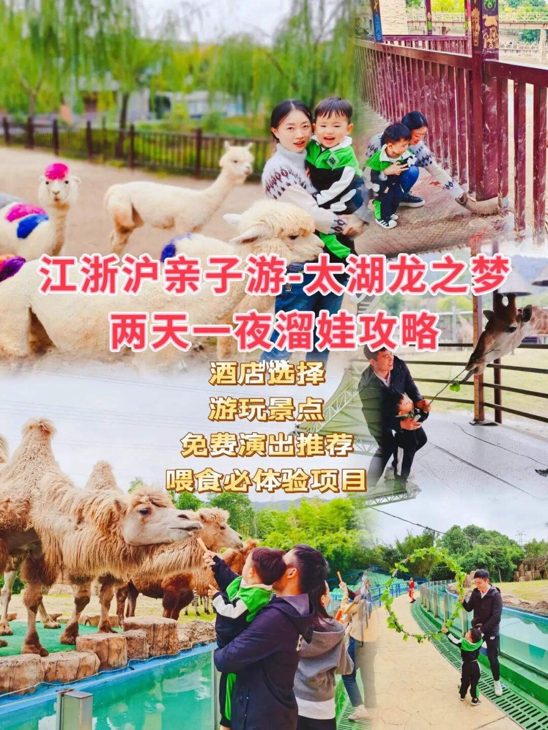 江浙沪亲子游/太湖龙之梦2天1夜溜娃攻略