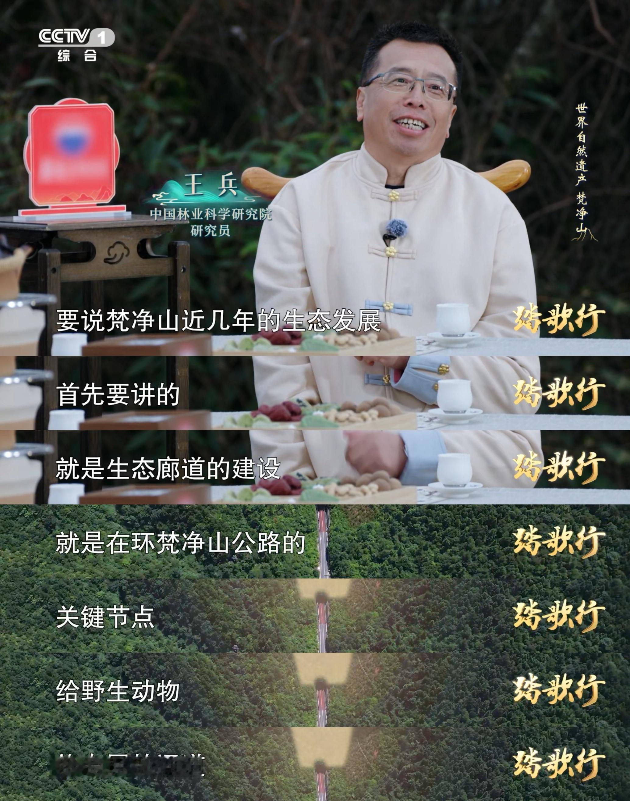 贵州为野生动物建14条路动物在梵净山走自己的高速路 梵净山给野生动物建了“专属高