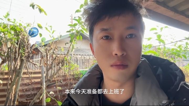 周末清晨，有点刺眼，强子还在迷糊，加班熬夜真难受，高兴推醒他，说桑滃节，语气带着