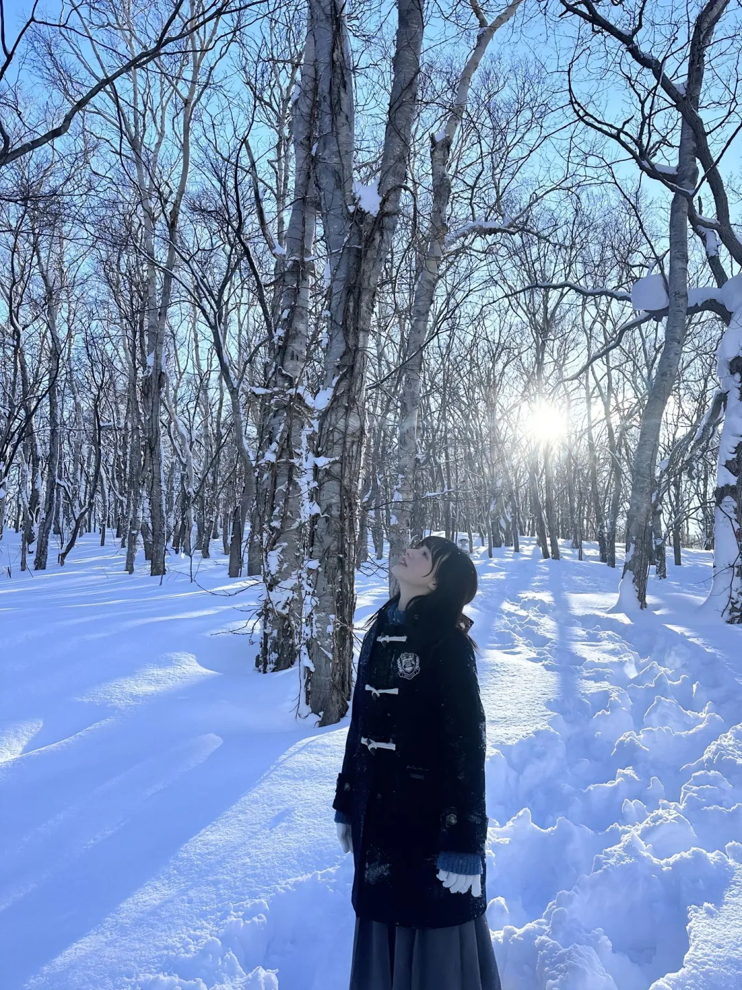 如果你今年打算去北海道，给你说几句大实话