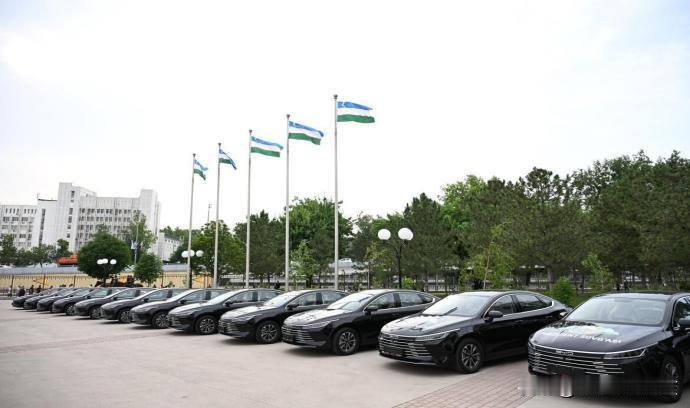 说个离谱的事儿，现在全球各国换新能源公务车，基本都绕不开比亚迪了。
 
搁以前公