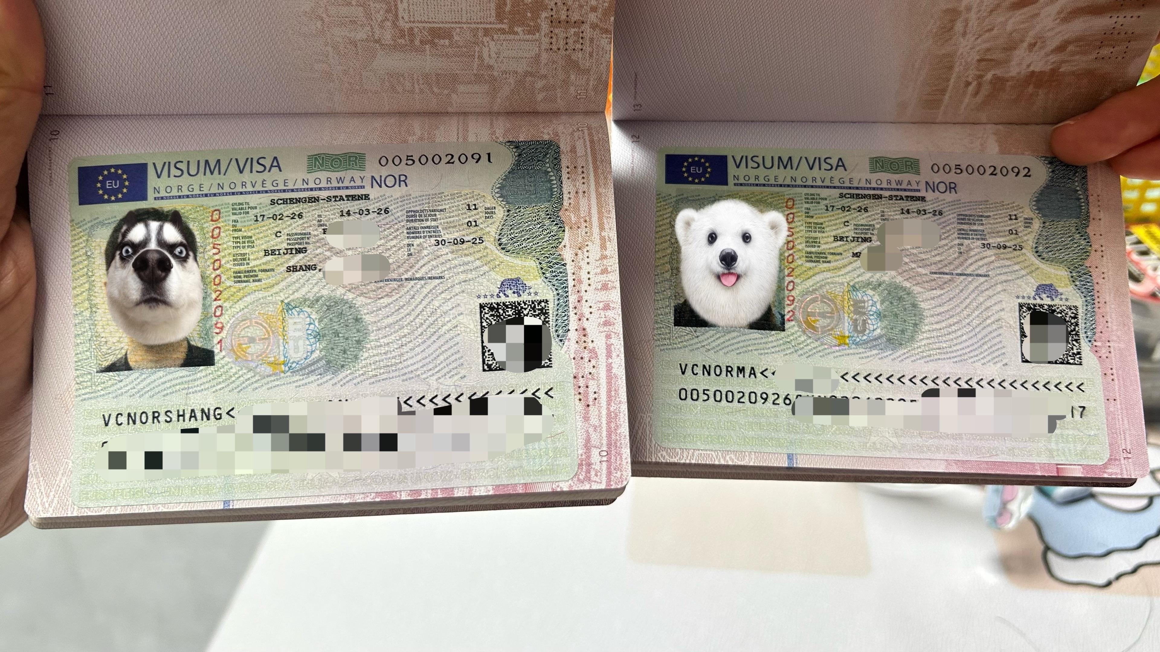 挪威🇳🇴签证已拿到✌️。计划是明年春节假期出发～2.17～2.27...