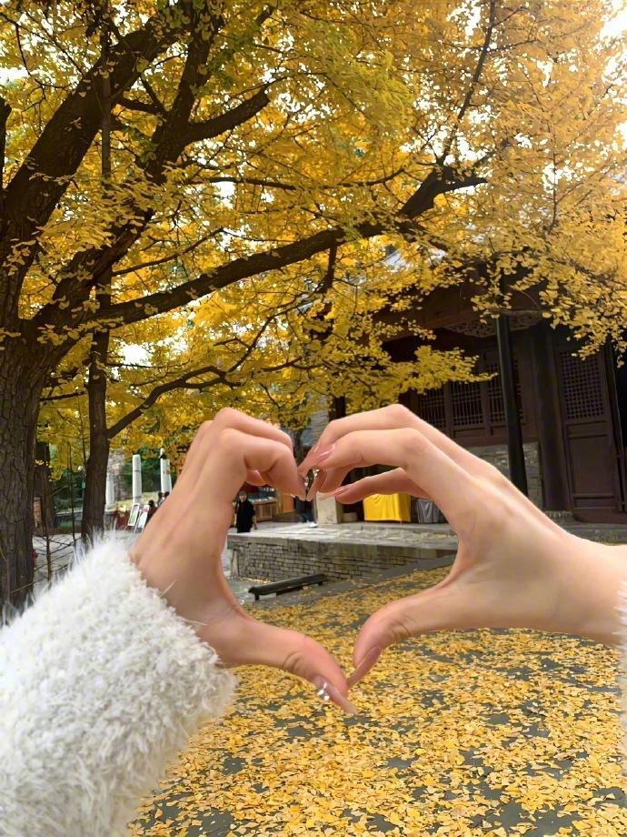 趁早放弃要找一个完美的灵魂伴侣的想法，因为完美的灵魂伴侣基本上不存在。你要找的是
