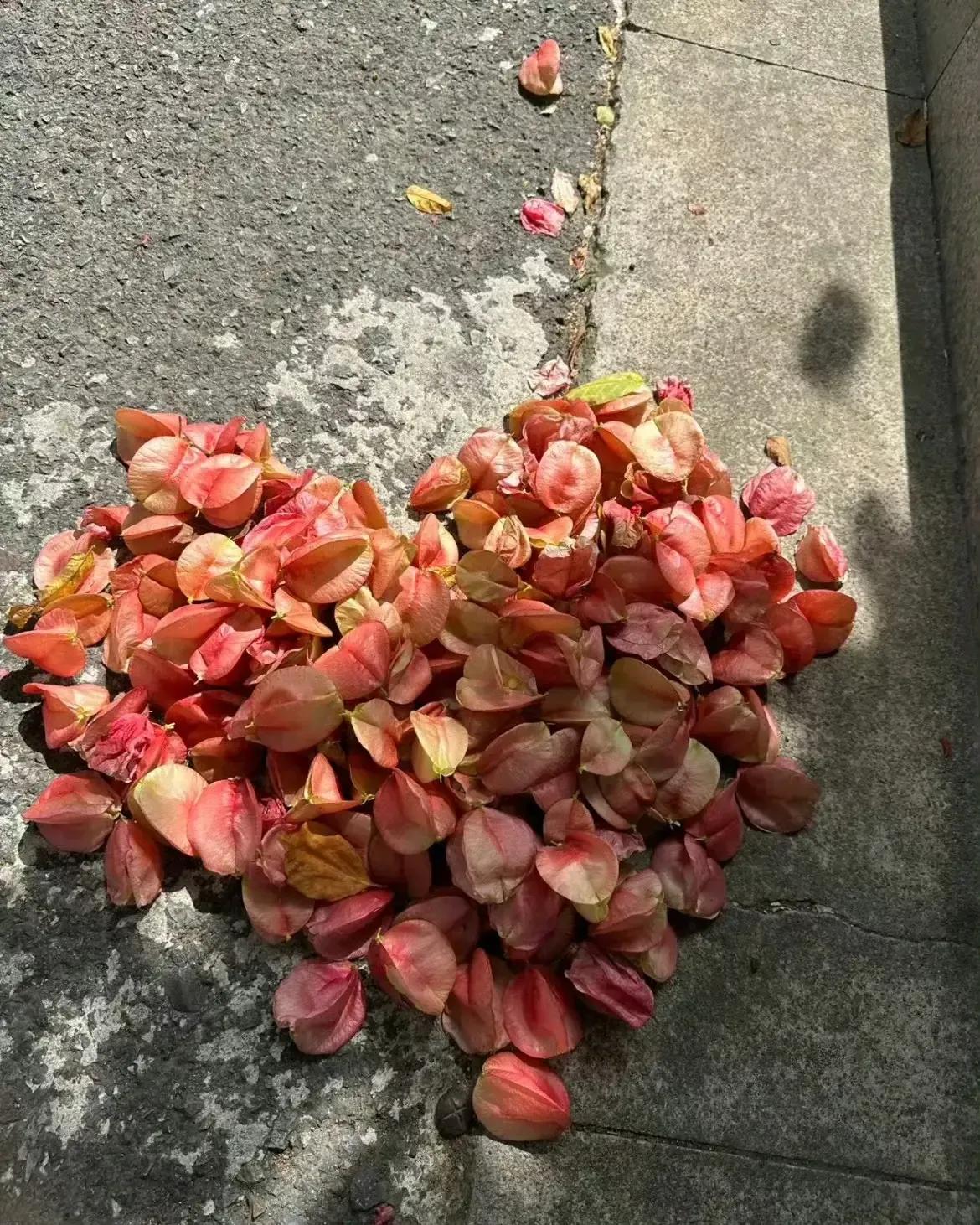 我前男友的爸爸妈妈对我非常好，前男友是未婚，我离异带男娃，他妈妈对我儿子那是一个