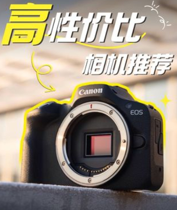 马上年底啦，专业博主推荐了三台高性价比的相机，索尼ZVE-10、佳能R100、尼