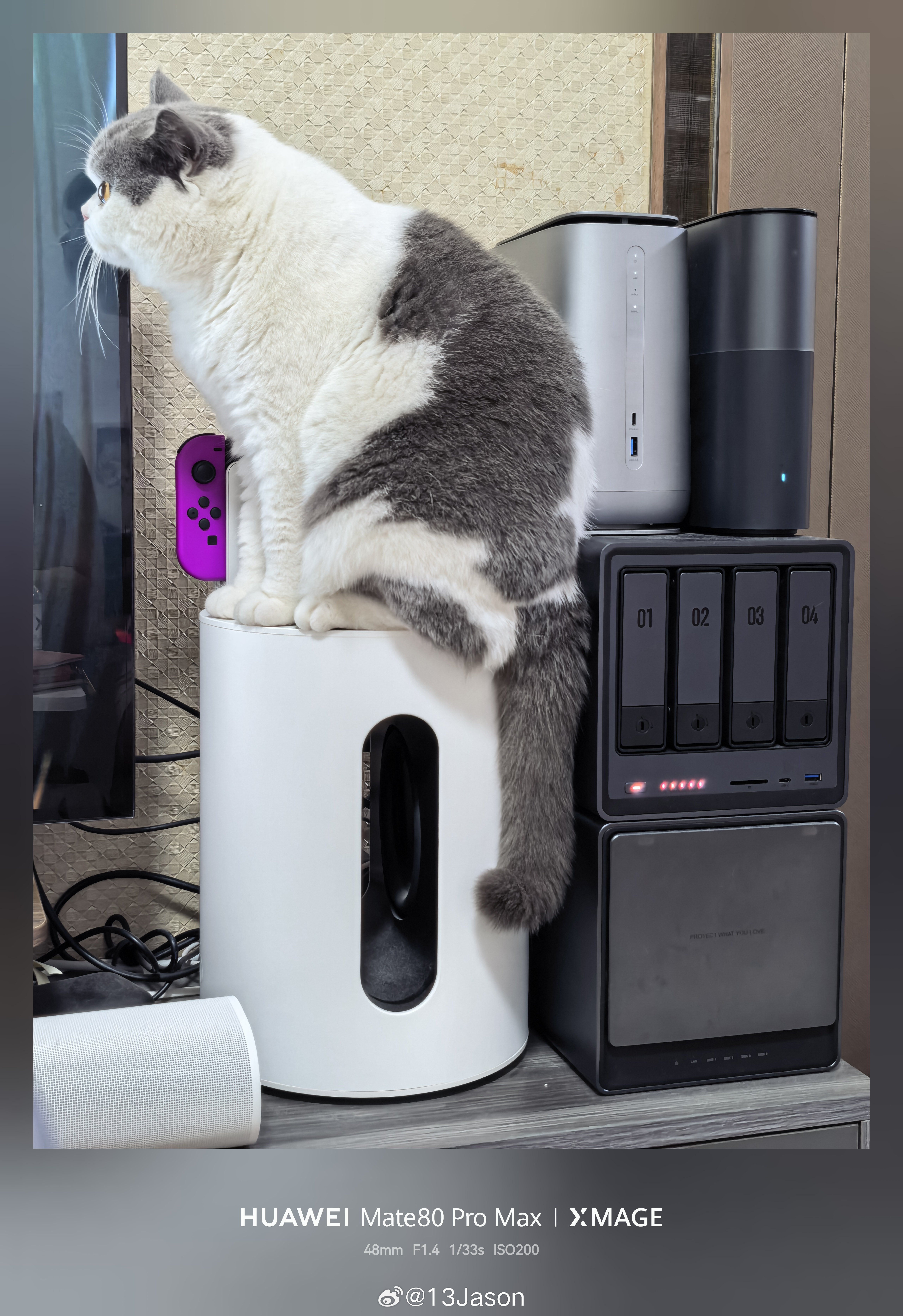 猫猫靠这么近看电视，要近视了！ 