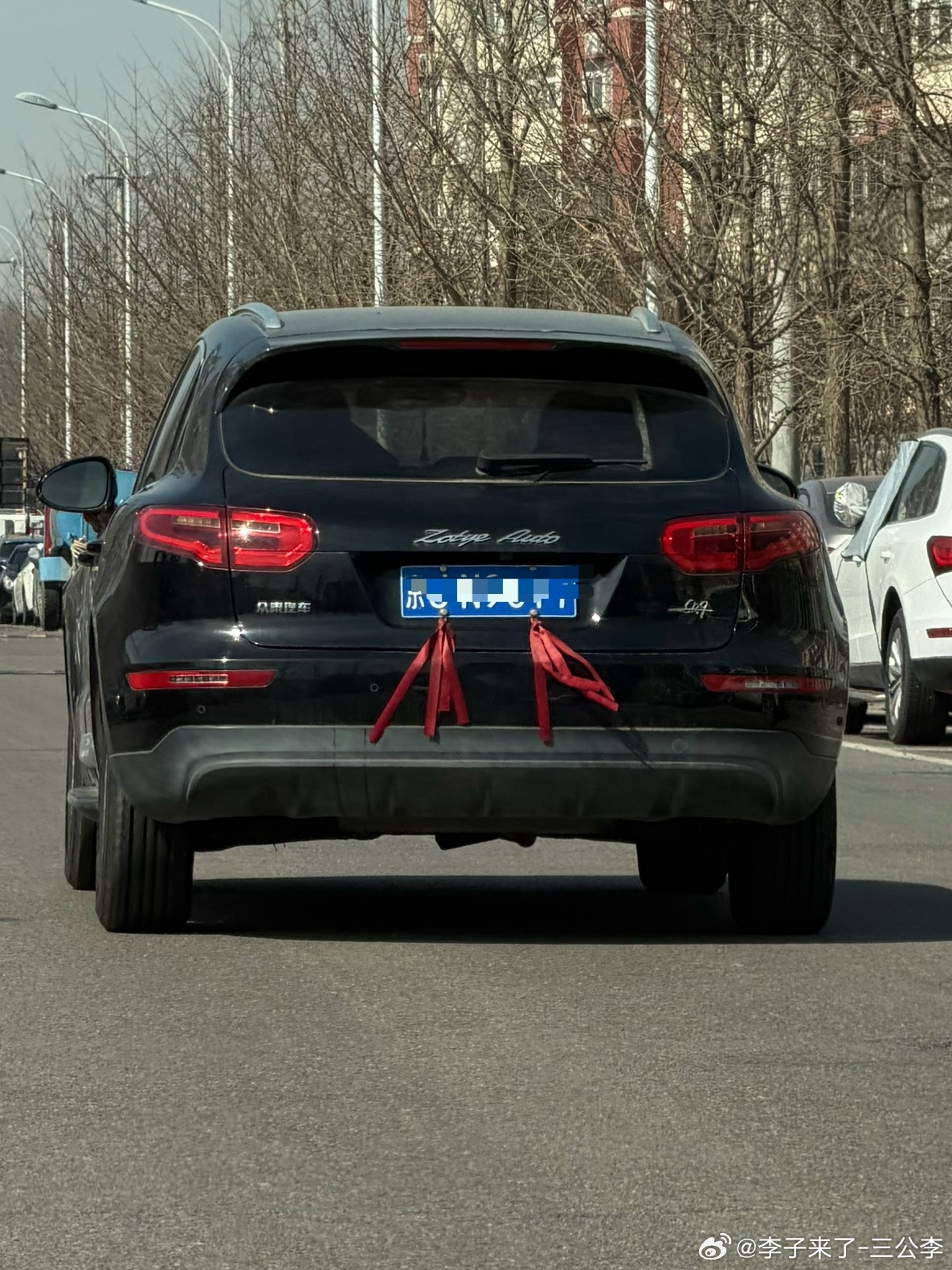 兄弟啊！你走的早啊！睁开眼睛看看这个美丽的世界吧！大v聊车众泰三公李