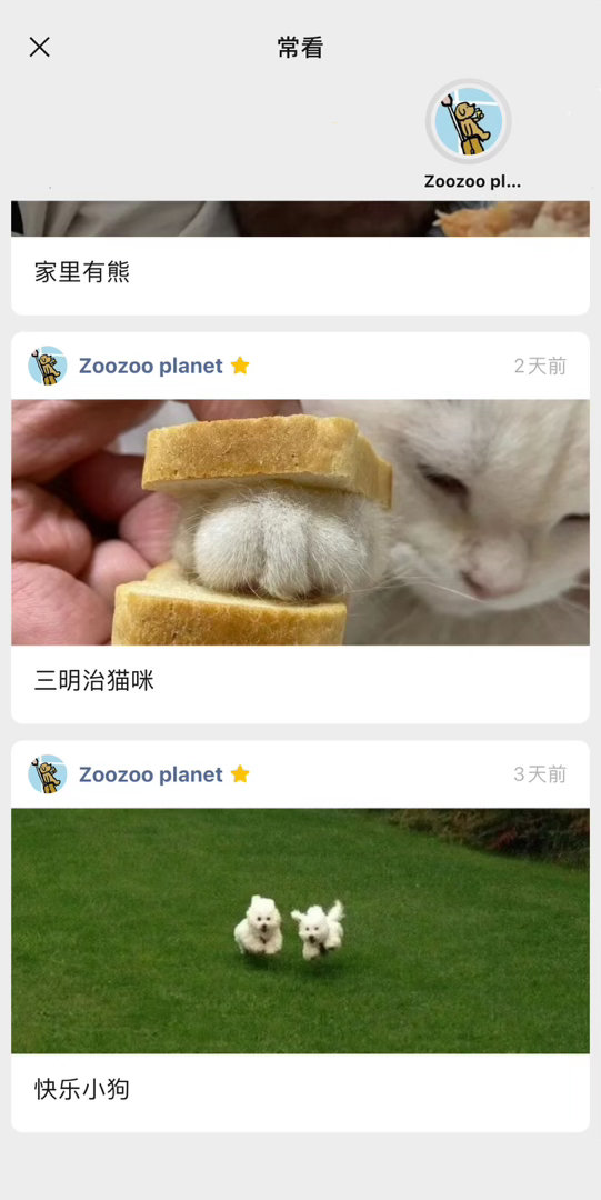 🐱🐶这里以后分享猫猫狗狗吧～～快来快来！ ​​​