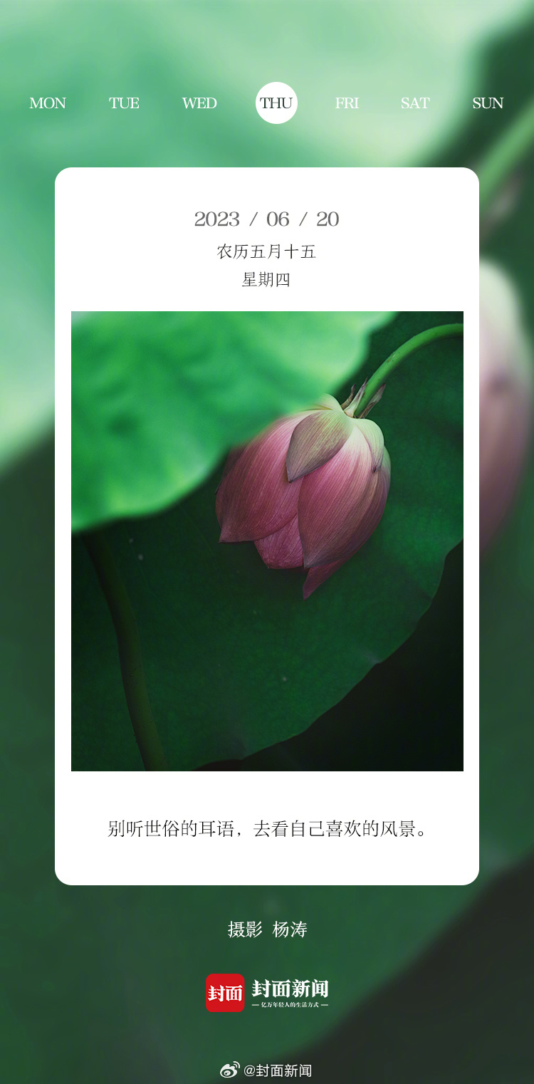 #小封日历# 早安，周四啦！今天叫醒你的是_____？[送花花] ​​​