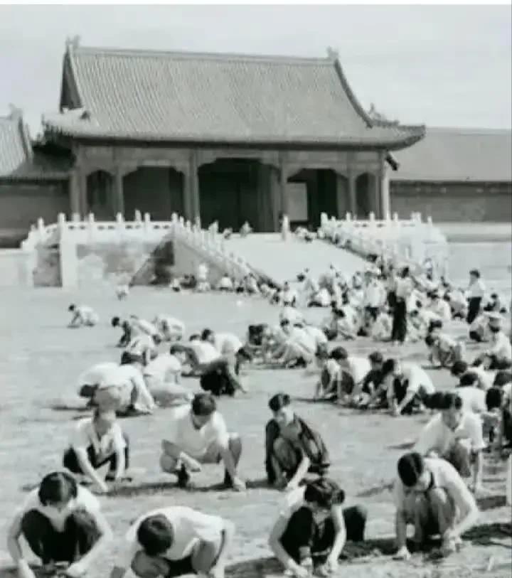 1949年，国家组织了7万人在北京故宫里清理垃圾，历时9个月清理出清末以来近40