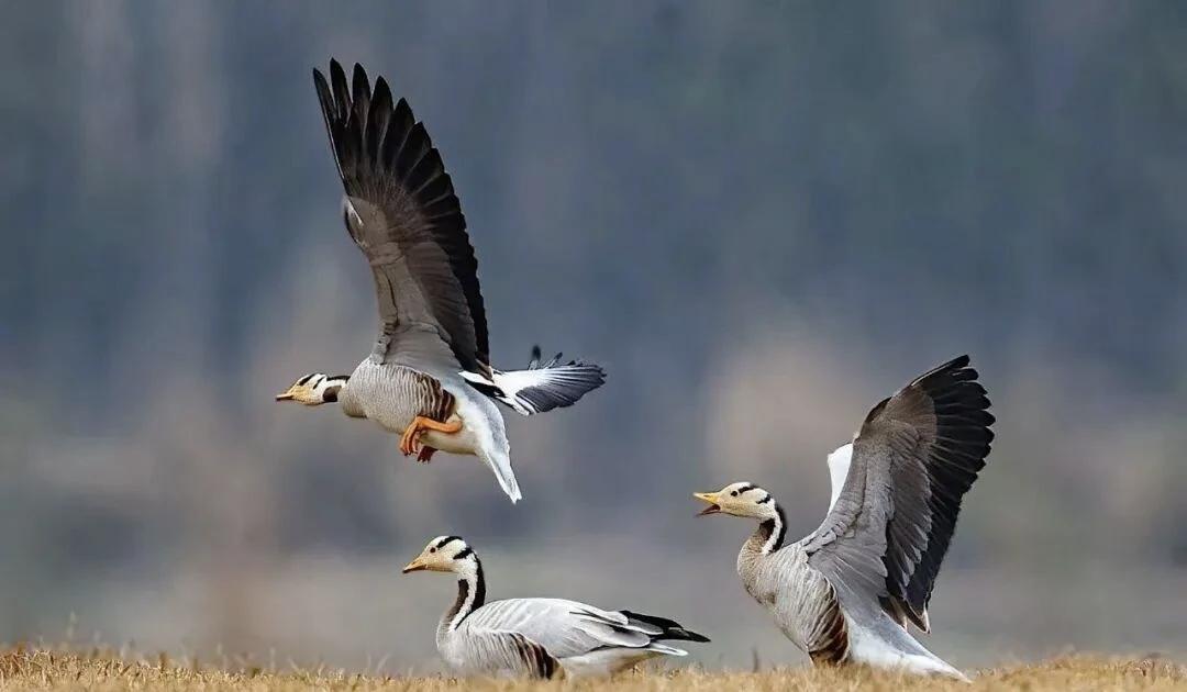 【考虑对方感受，想好后再说】
        说话真得考虑对方感受，想好后再说。