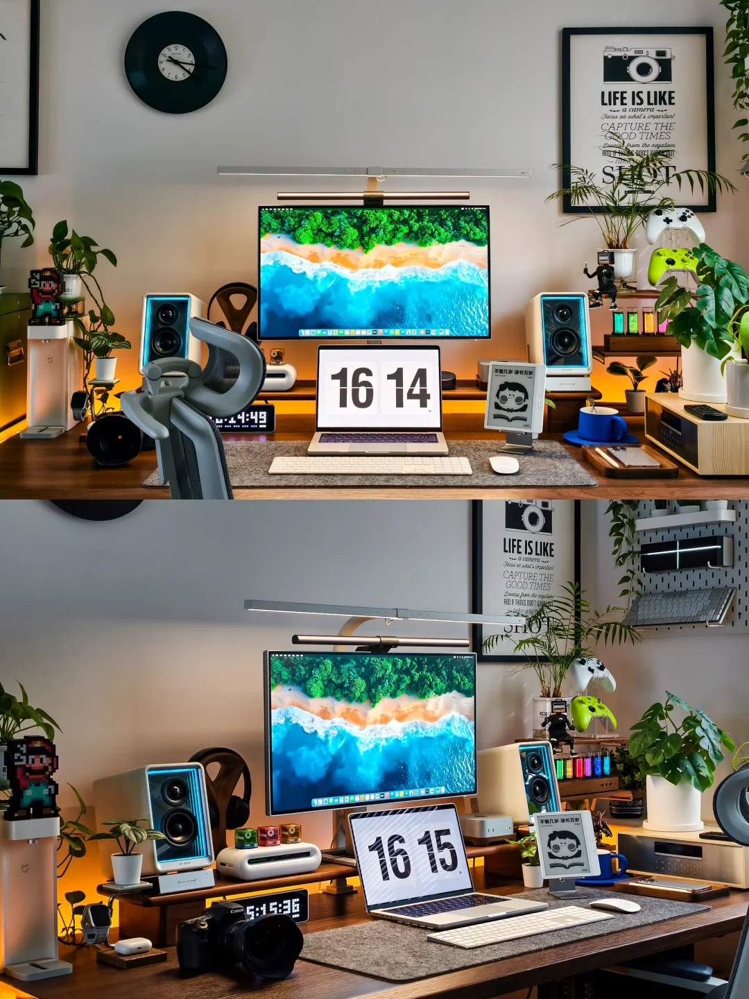 宅家日常|重拾阅读乐趣，爱上碎片时光