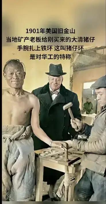 这是1901年美国旧金山当地矿产老板给刚买来的大清“猪仔”手腕扎上铁环，这叫“猪