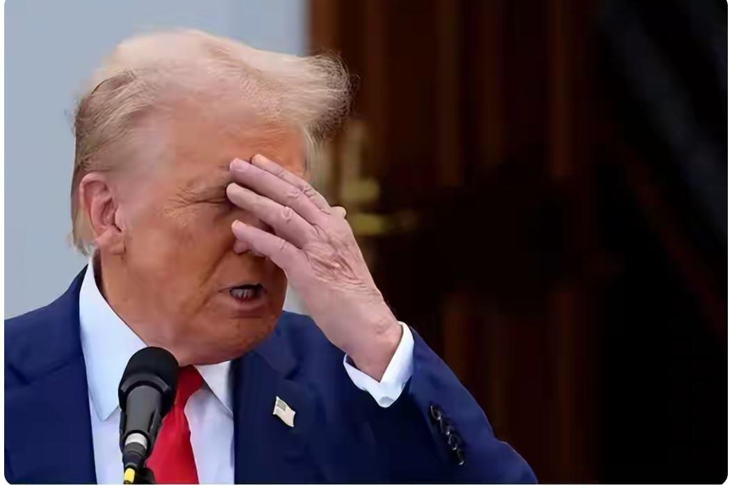 时事微澜
可笑的特朗普，自以为是，自吹自擂，自高自大，自欺欺人，已经是日薄西山了