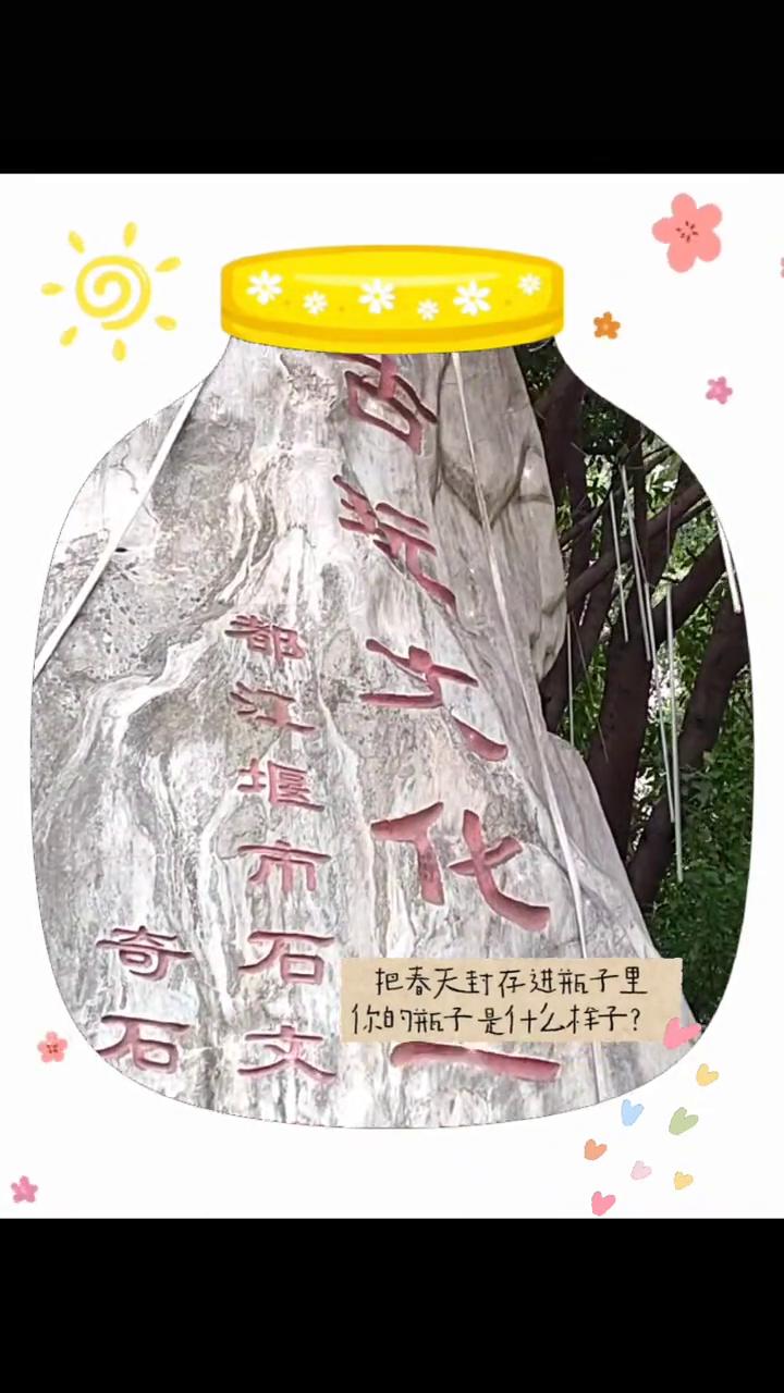 那洋维布石，把春天封存进瓶子里。你的瓶干是什么样子？