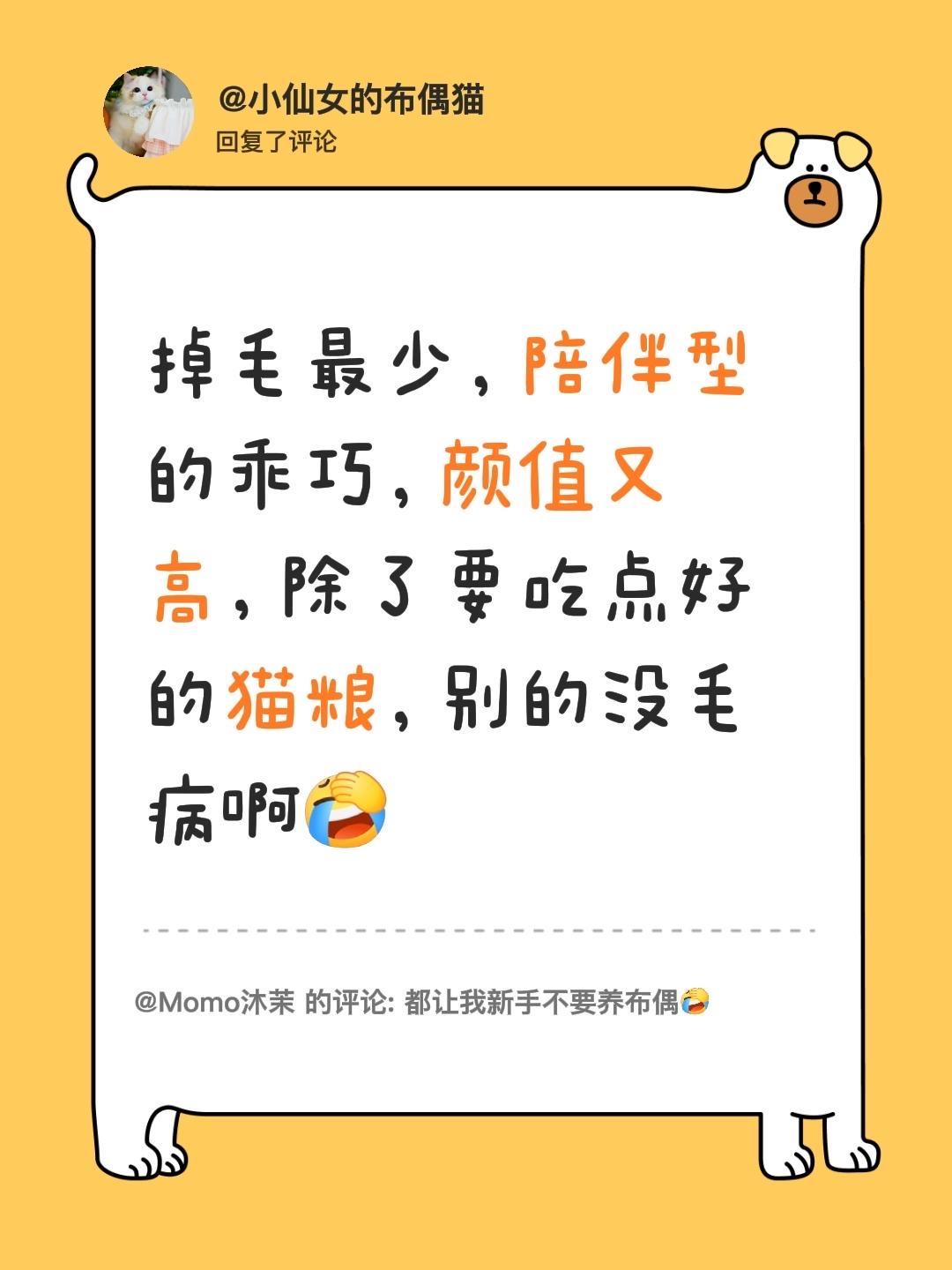 我回复了 的评论： 掉毛最少，陪伴型的乖巧，颜值又高，除了要吃点好的猫...