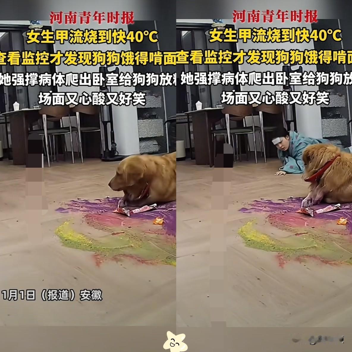 既心酸又好笑，安徽，一女生因感冒发烧，吃药后在床上躺了一天，迷迷糊糊想起家里的狗