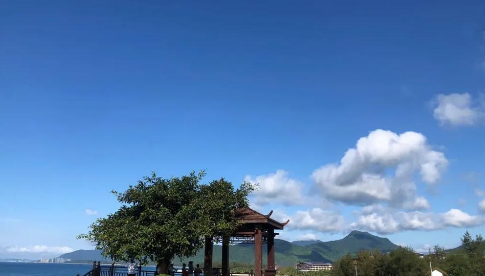 据海南省人大代表、海南省工业和信息化厅党组书记、厅长刘立武透露，在渗透率方面，海