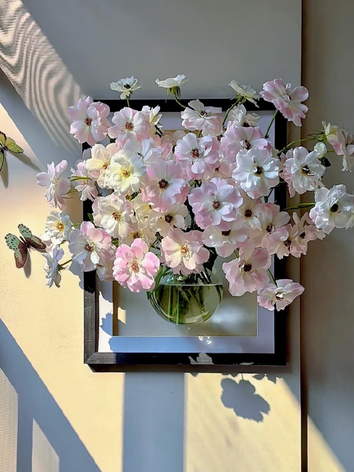 养在墙上的花💐｜家居美学 ​​​