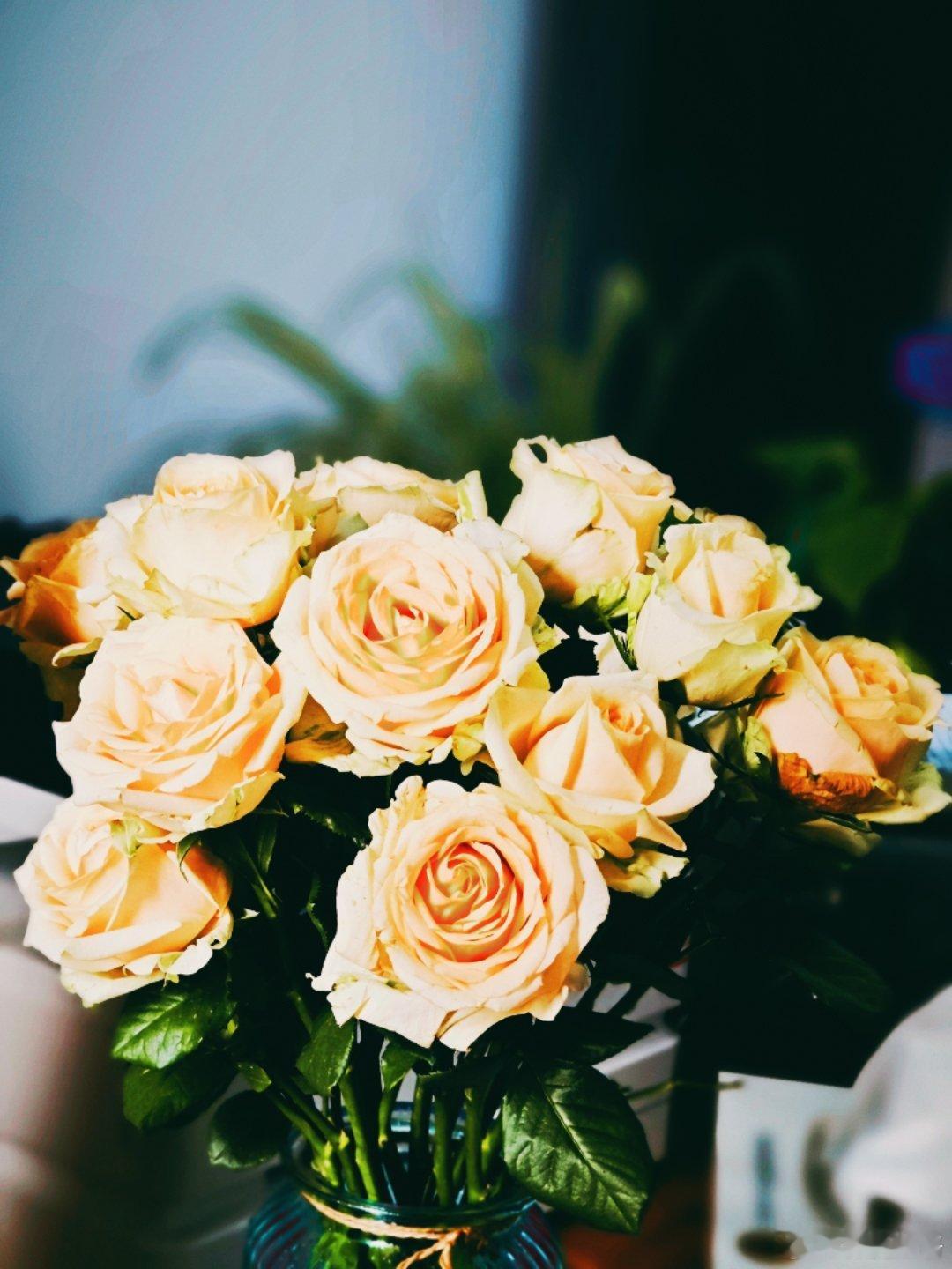 治愈系，感谢花花带给我的快乐[心][心] ​​​