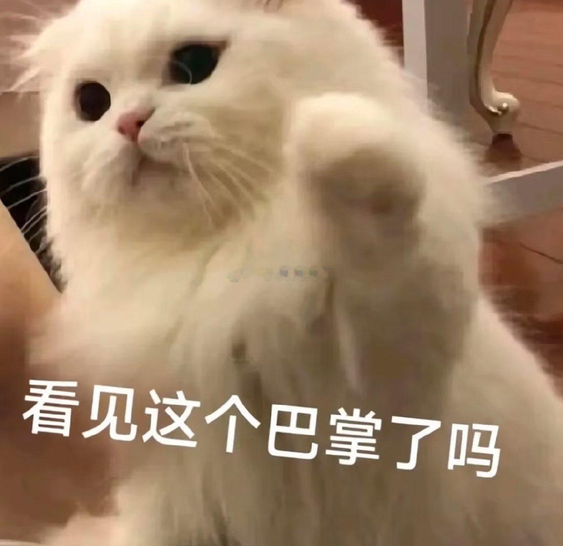 🐺越来越坏了，我也越来越爱了我和🐺准备出门买菜，在我的撒娇打滚下🐺答应在出