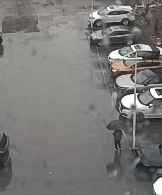 清明时节，雨纷纷啊，这真是太准了。
         白天下了几滴了小雨，现在半