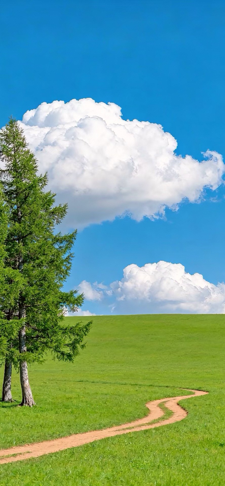 别让犹豫阻挡前行的脚步，今天的你比昨天更努力一点，梦想就会离你更近一点！早安！ 