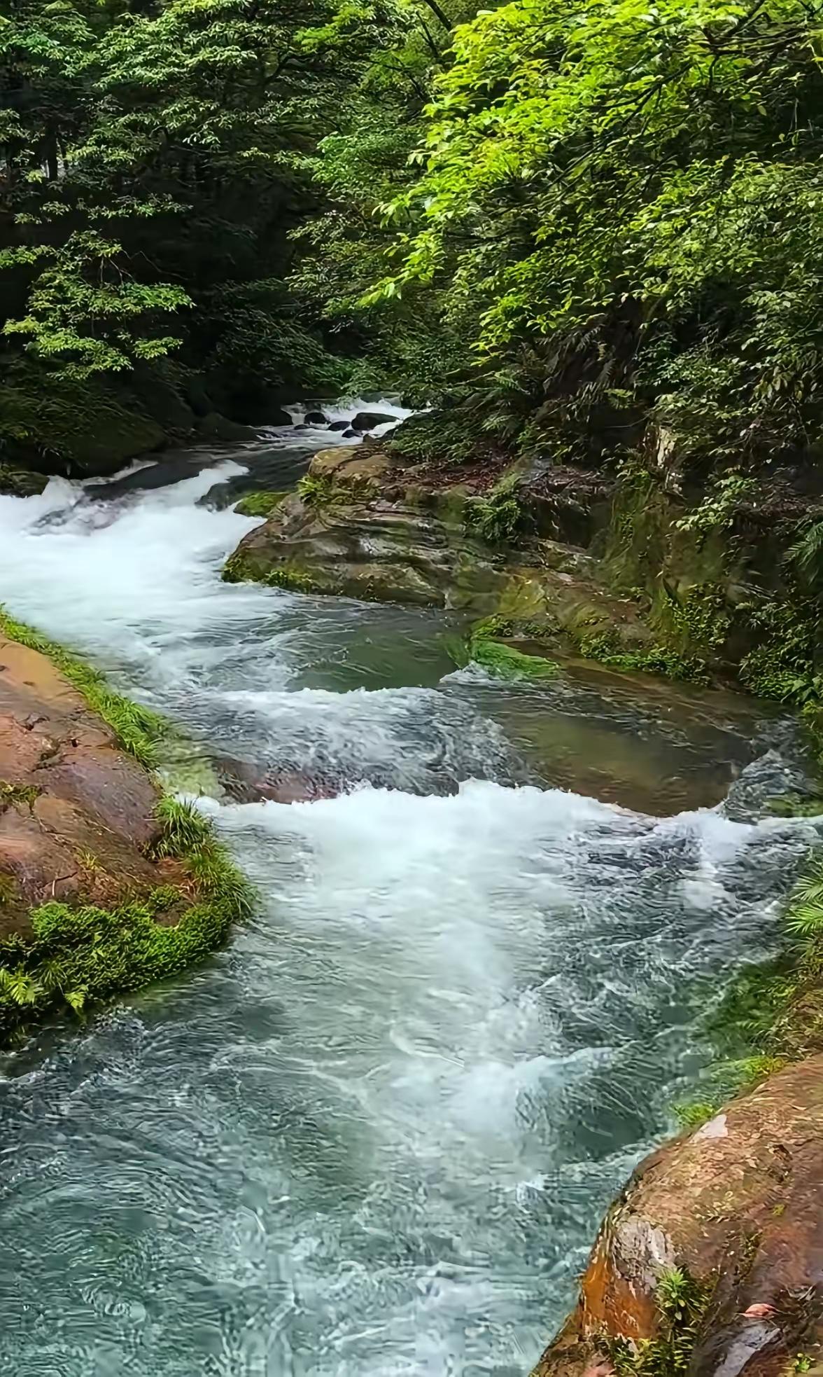 深山溪流，奔腾不息。