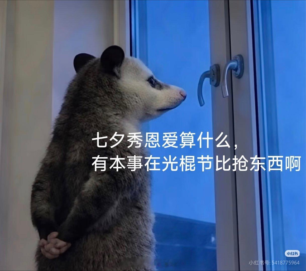 七夕当天我就这样过七夕怎么过 