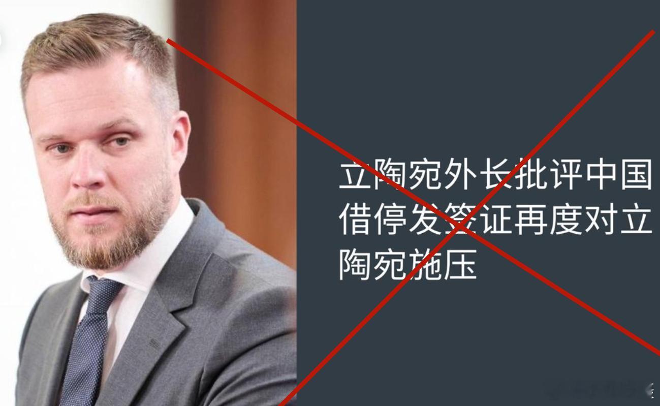 很多老铁可能只知道美国傀儡立陶宛是与台独勾结！不，它们还与乱港祸害勾结。立陶宛继