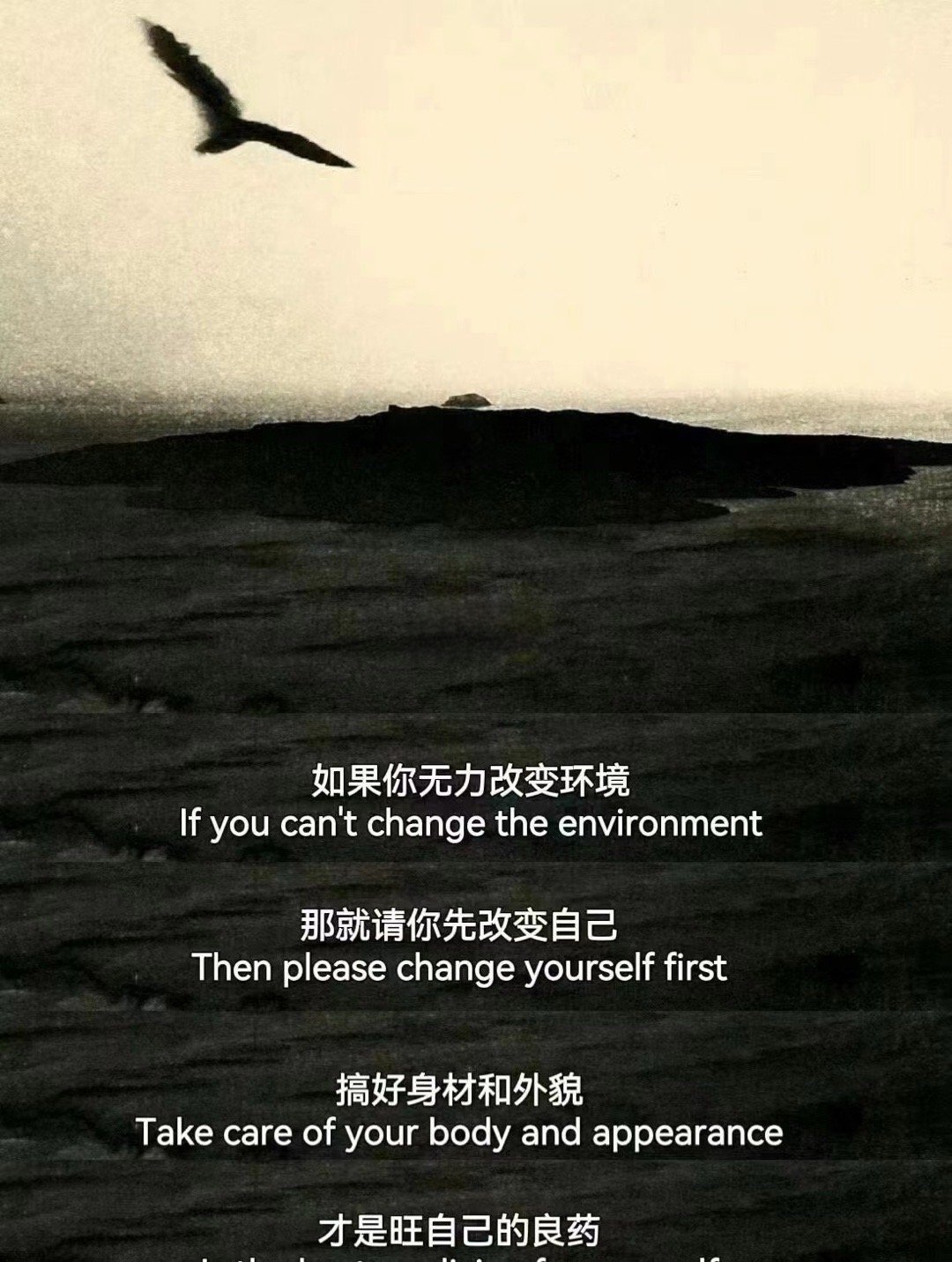 如果你无力改变环境那就请你先改变自己搞好身材和外貌才是旺自己的良药 