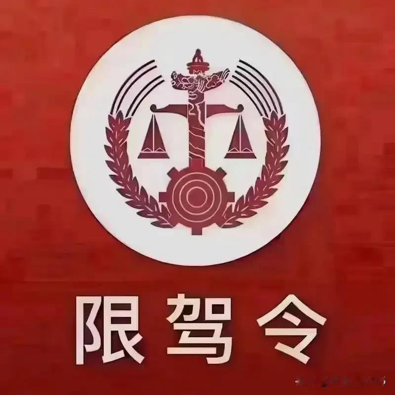 中国现行法律框架下基层法院的“限驾令”，是合法还是权力滥用？
摘要
本分析从法律