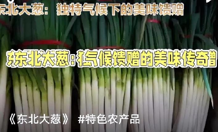 东北大葱：餐桌上的“灵魂调味”
 
东北大葱，是东北人餐桌上不可或缺的“灵魂”，