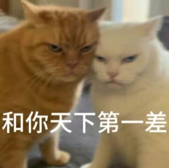 冷冷冷冷冷冷元旦冷冷冷冷冷冷今天无风也无雨雪🌨️ 可惜了 