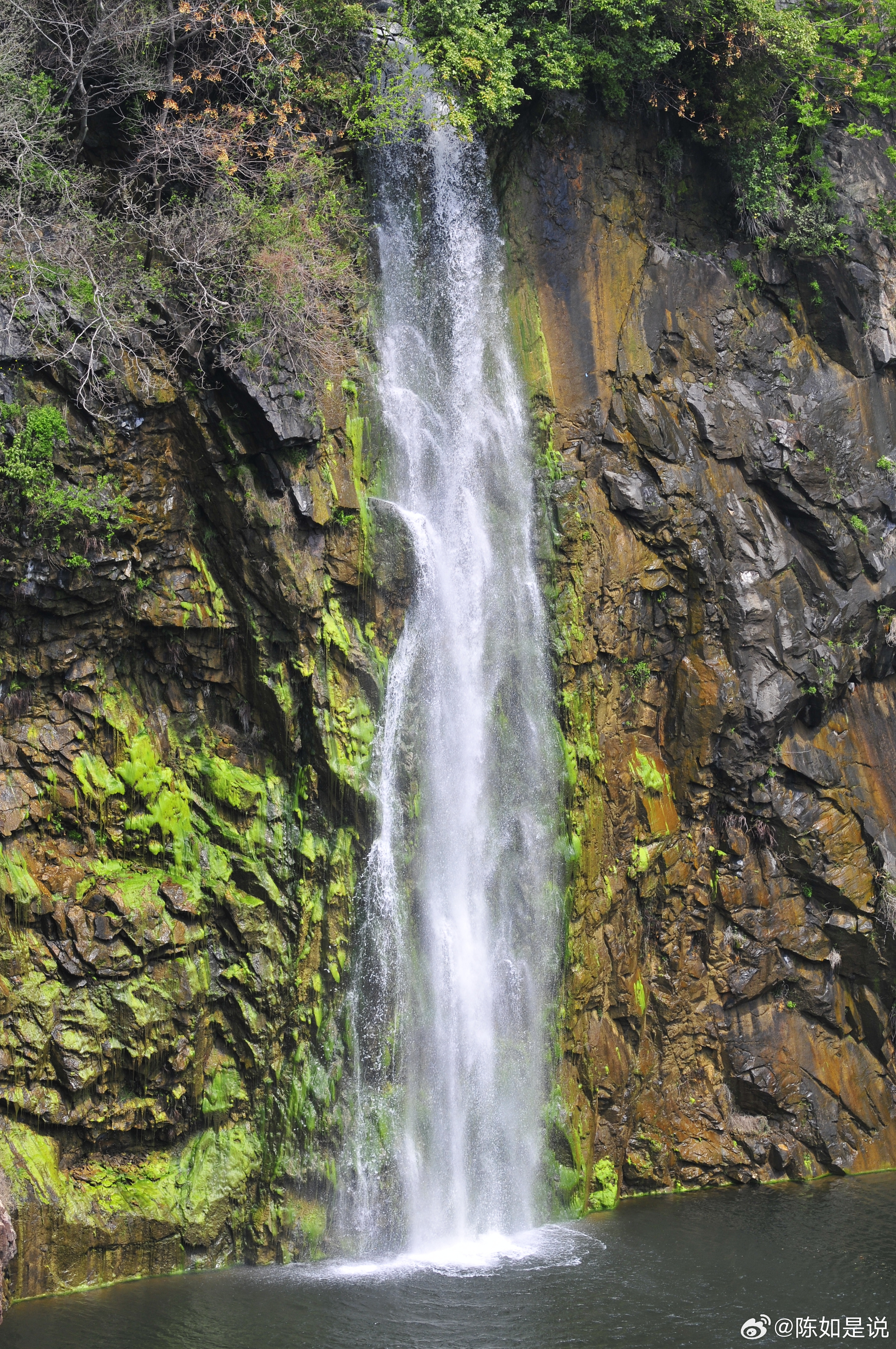 春天的花河.上海辰山/广富林 