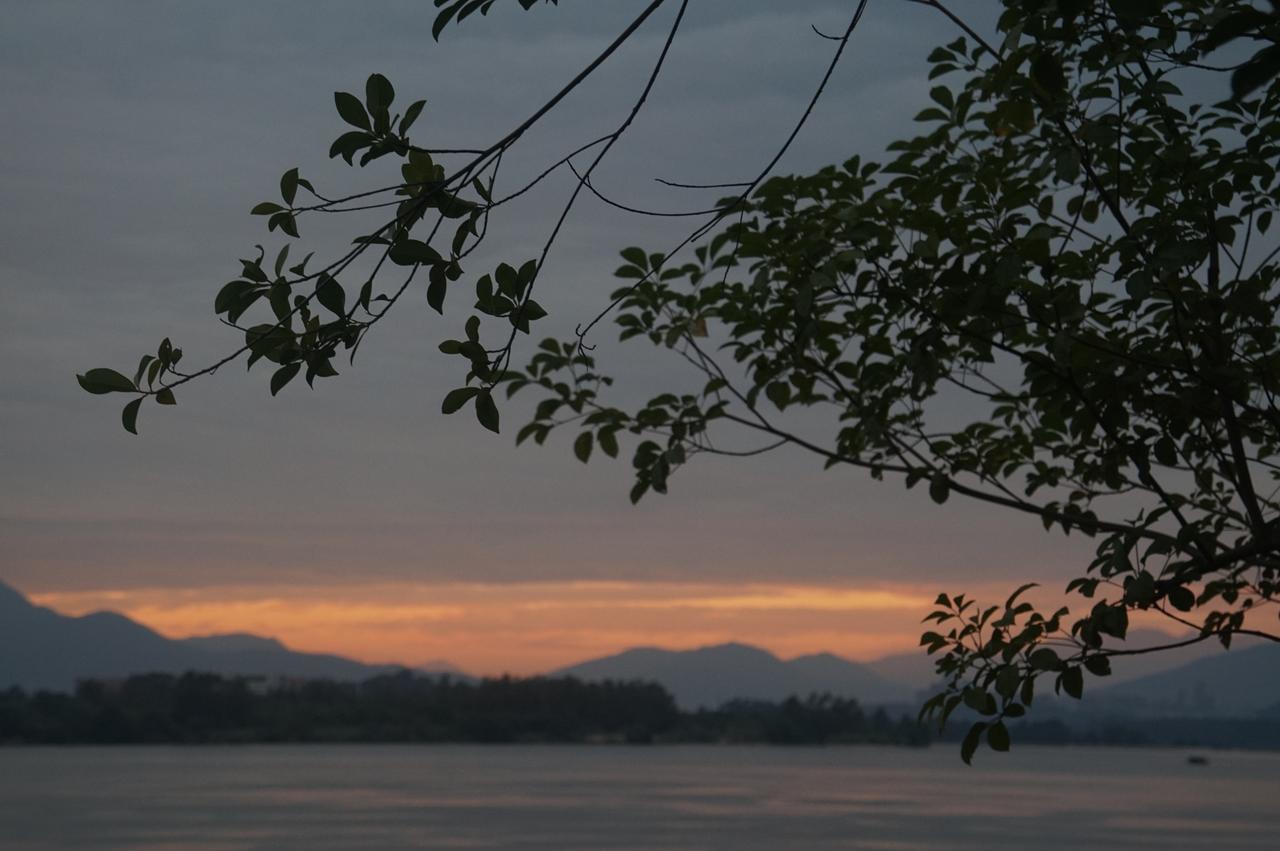 夕阳无限好
只是近黄昏