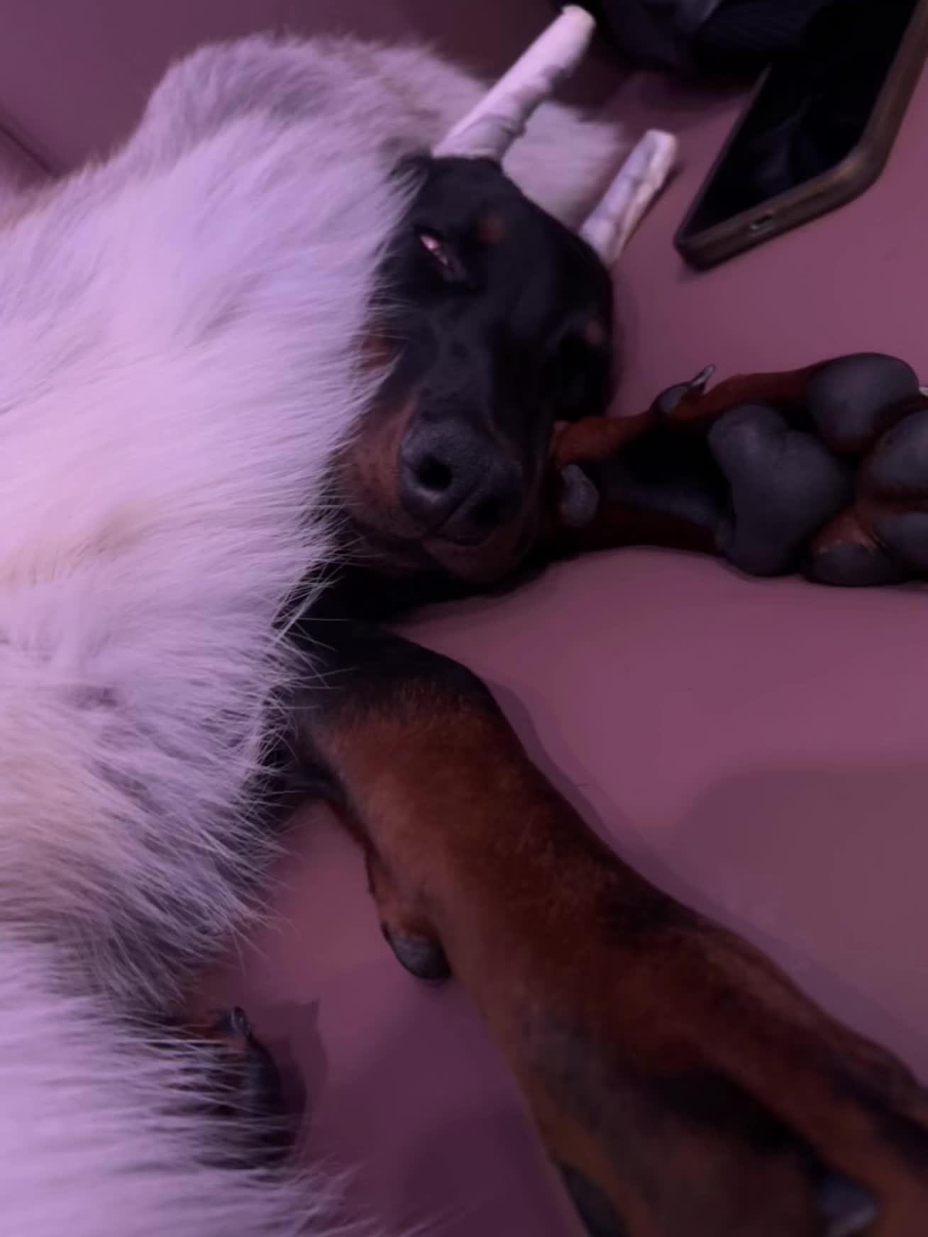 妈妈说我是帅气男孩