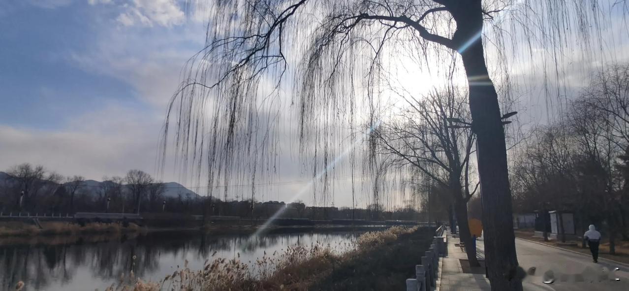 随手拍冬季景色