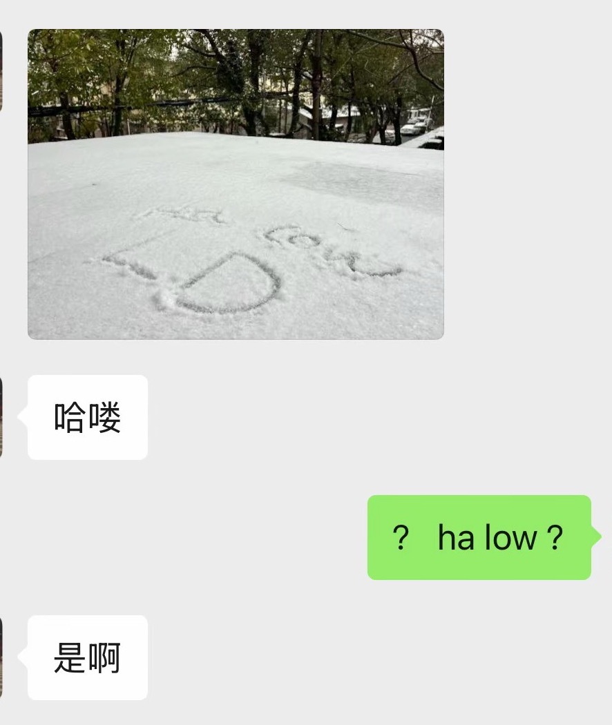 我的英语水平就这样日常吐槽打工人精神状态