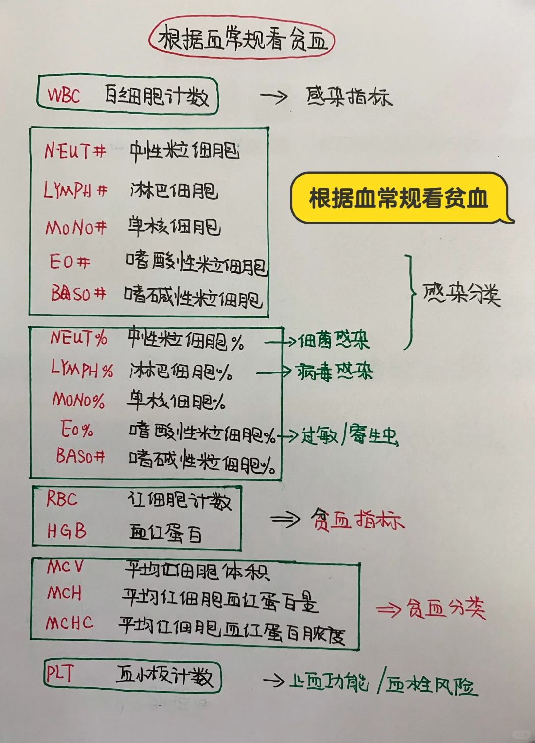 今日学习打卡——根据血常规看贫血